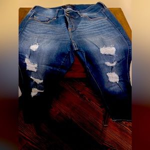 Torrid  Jeggings Size 16S